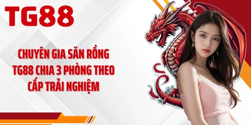 Chuyên gia săn rồng TG88 chia 3 phòng theo cấp trải nghiệm