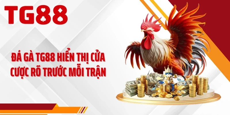 Đá gà TG88 hiển thị cửa cược rõ trước mỗi trận