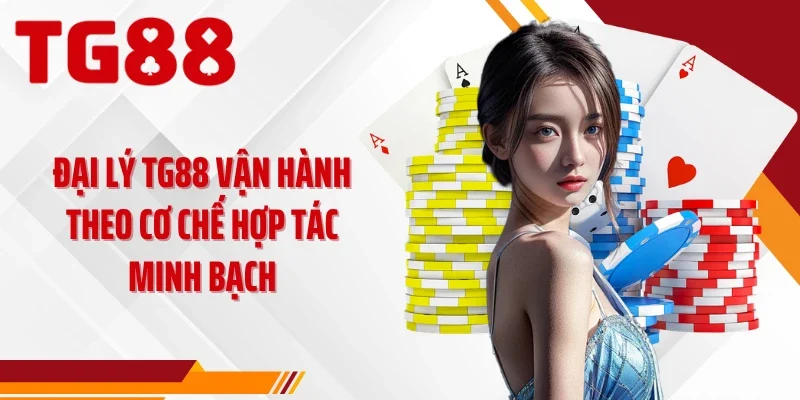 Đại lý TG88 vận hành theo cơ chế hợp tác minh bạch
