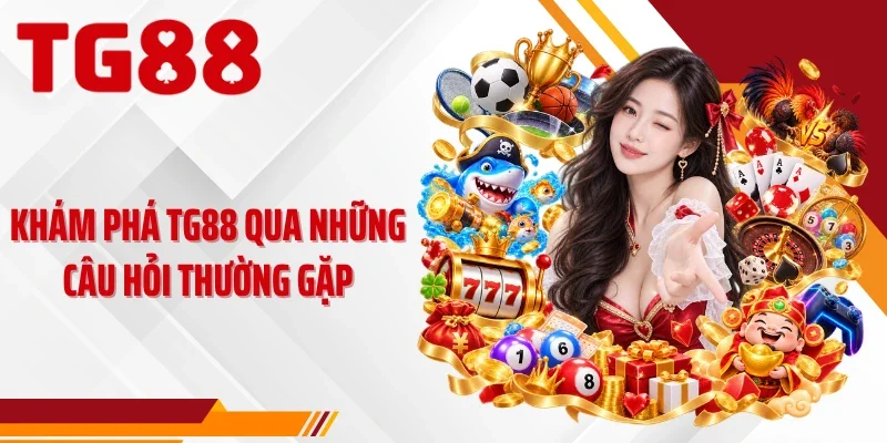 Khám phá TG88 qua những câu hỏi thường gặp