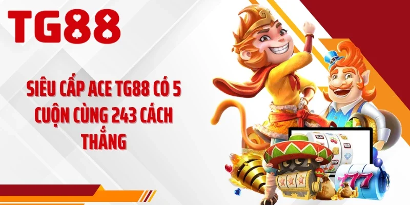 Siêu cấp ACE TG88 có 5 cuộn cùng 243 cách thắng